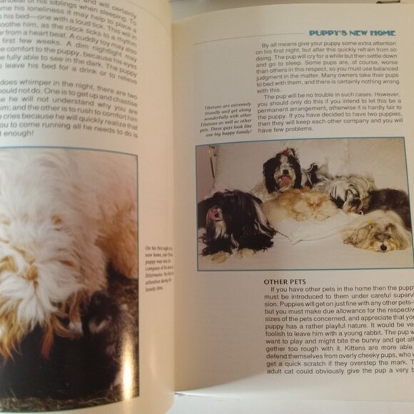 Complete Handbook of Tibetan Terrier (Rare Breed) by Keleman, Anne Hardback - Picture 2 of 7